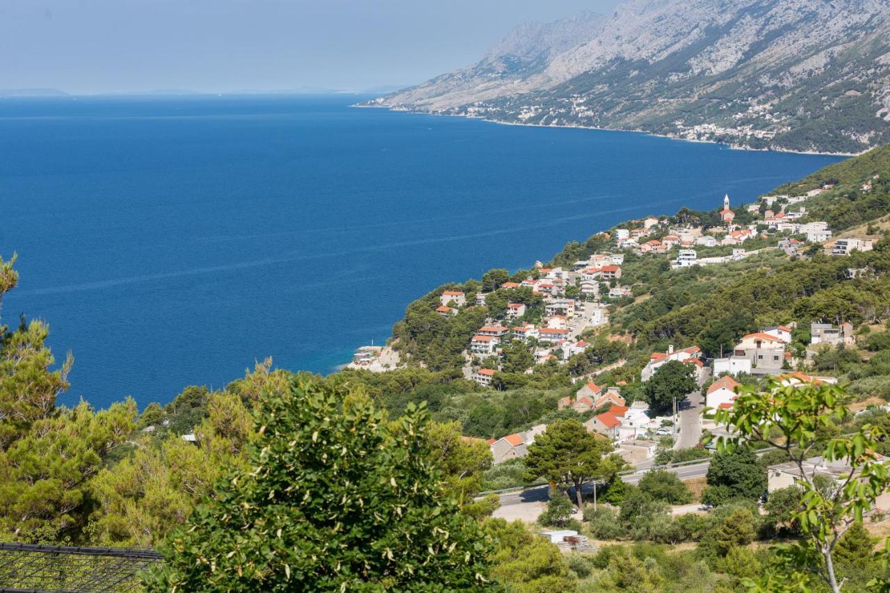 Sedra *