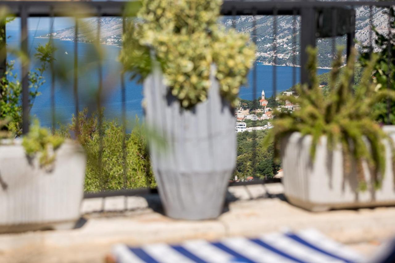 Apartment Sedra *